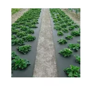 Агроволокно Plant-protex плотность 50 г/м